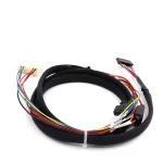 Customized wiring harness 002