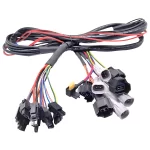 Customized wiring harness 005