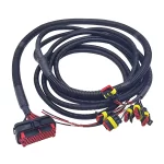 Customized wiring harness 009